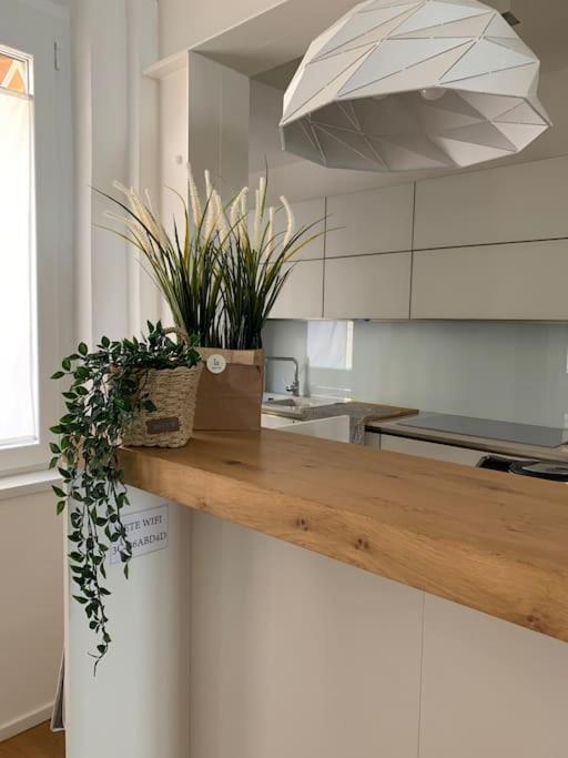 Interno4Home: In Centro Storico Con Posto Auto 페라라 외부 사진